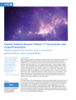 Digital Nebula Sparks Clients’ IT Innovation and Experimentation 