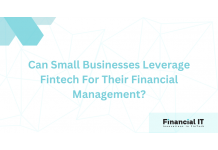 Can Small Businesses Leverage Fintech For Their Financial Management?